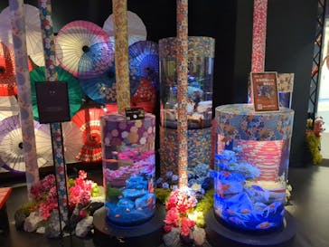 UWS AQUARIUM GA☆KYOに投稿された画像（2024/5/26）