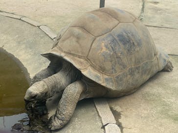 世界淡水魚園水族館　アクア・トトぎふに投稿された画像（2024/5/26）