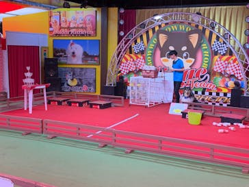 IPCわんわん動物園に投稿された画像（2024/5/26）