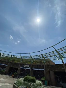 ひらかたパークに投稿された画像（2024/5/26）