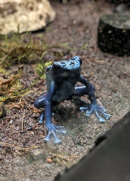 サンシャイン水族館に投稿された画像（2024/5/26）