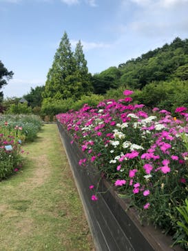 大阪府立花の文化園に投稿された画像（2024/5/26）