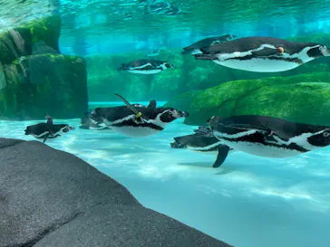 天王寺動物園に投稿された画像（2024/5/26）