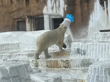 天王寺動物園に投稿された画像（2024/5/26）