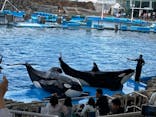 名古屋港水族館に投稿された画像（2024/5/26）