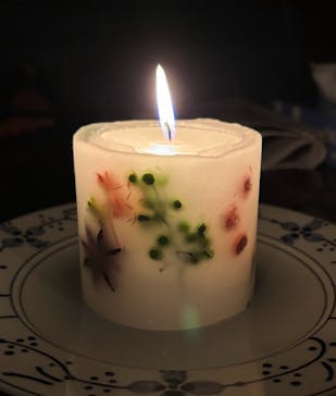 nekonoteキャンドルに投稿された画像（2024/5/26）