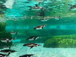 天王寺動物園に投稿された画像（2024/5/26）