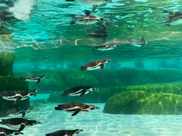 天王寺動物園に投稿された画像（2024/5/26）