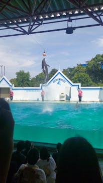 しながわ水族館に投稿された画像（2024/5/26）