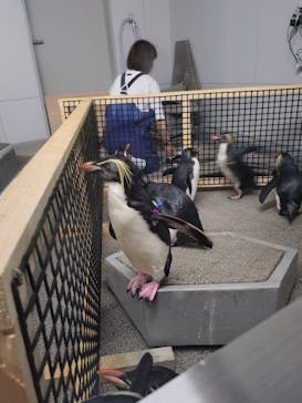 AOAO SAPPOROに投稿された画像（2024/5/26）