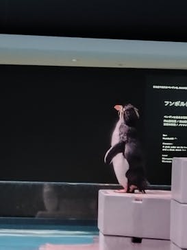 AOAO SAPPOROに投稿された画像（2024/5/26）