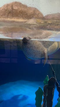 マクセル アクアパーク品川に投稿された画像（2024/5/26）