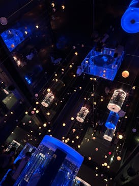 マクセル アクアパーク品川に投稿された画像（2024/5/26）