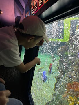 レゴランドⓇ・ジャパン・リゾートに投稿された画像（2024/5/26）