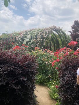 横浜イングリッシュガーデンに投稿された画像（2024/5/26）