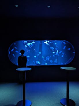 AOAO SAPPOROに投稿された画像（2024/5/26）