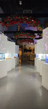 マクセル アクアパーク品川に投稿された画像（2024/5/26）