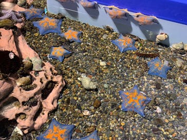 登別マリンパークニクスに投稿された画像（2024/5/26）