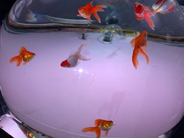 登別マリンパークニクスに投稿された画像（2024/5/26）