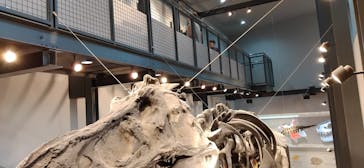 福井県立恐竜博物館に投稿された画像（2024/5/26）