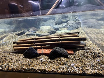 大分マリーンパレス水族館 「うみたまご」に投稿された画像（2024/5/26）