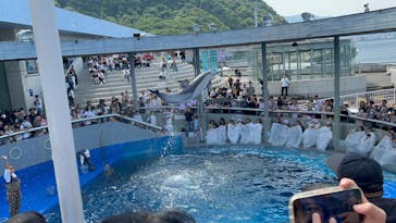大分マリーンパレス水族館 「うみたまご」に投稿された画像（2024/5/26）