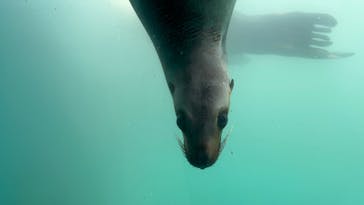 大分マリーンパレス水族館 「うみたまご」に投稿された画像（2024/5/26）