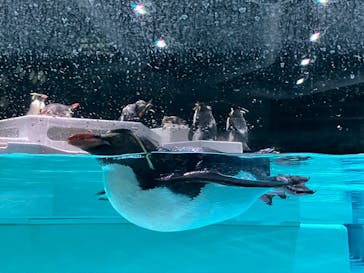 AOAO SAPPOROに投稿された画像（2024/5/26）