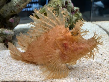 AOAO SAPPOROに投稿された画像（2024/5/26）