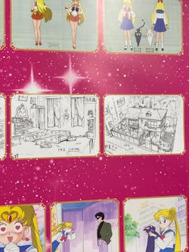 美少女戦士セーラームーン ミュージアム 大阪展事務局に投稿された画像（2024/5/26）