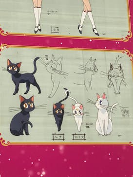 美少女戦士セーラームーン ミュージアム 大阪展事務局に投稿された画像（2024/5/26）