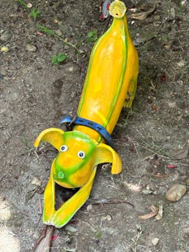 浜名湖花博2024に投稿された画像（2024/5/26）