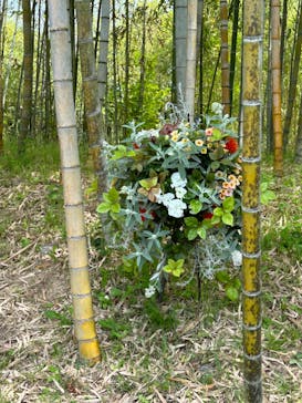 浜名湖花博2024に投稿された画像（2024/5/26）