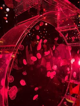 マクセル アクアパーク品川に投稿された画像（2024/5/26）