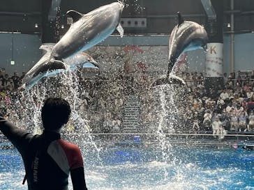 マクセル アクアパーク品川に投稿された画像（2024/5/26）