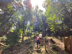 冒険の森やまぞえに投稿された画像（2024/5/26）