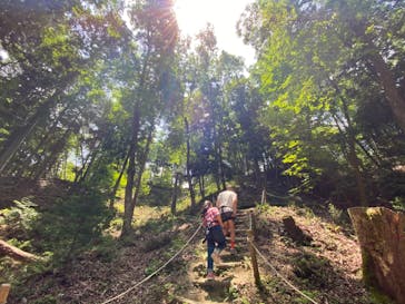 冒険の森やまぞえに投稿された画像（2024/5/26）