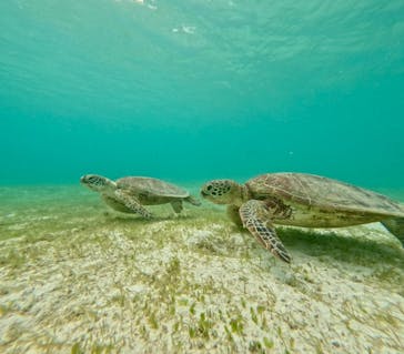 宮古島マリン SUGAR3（シュガースリー）に投稿された画像（2024/5/27）