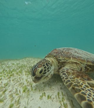 宮古島マリン SUGAR3（シュガースリー）に投稿された画像（2024/5/27）