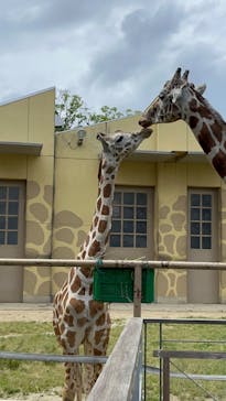 日立市かみね動物園に投稿された画像（2024/5/27）