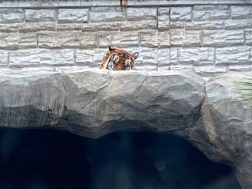 日立市かみね動物園に投稿された画像（2024/5/27）