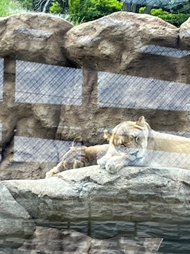 日立市かみね動物園に投稿された画像（2024/5/27）