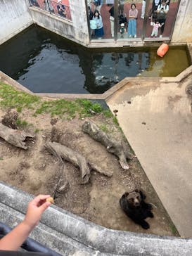 日立市かみね動物園に投稿された画像（2024/5/27）