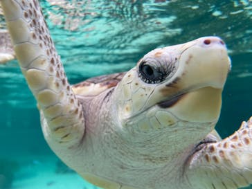 鴨川シーワールドに投稿された画像（2024/5/27）