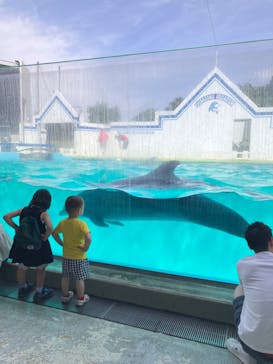 しながわ水族館に投稿された画像（2024/5/27）