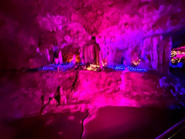 石垣島鍾乳洞に投稿された画像（2024/5/27）