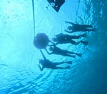 宮古島 ADVENTURE PiPi（ミヤコジマ アドベンチャー ピピ）に投稿された画像（2024/5/27）