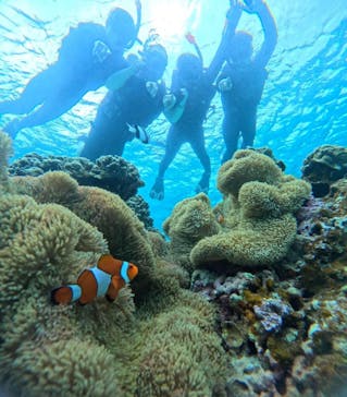 宮古島 ADVENTURE PiPi（ミヤコジマ アドベンチャー ピピ）に投稿された画像（2024/5/27）