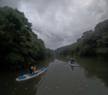 石垣島 ADVENTURE PiPi（イシガキジマアドベンチャーピピ）に投稿された画像（2024/5/27）