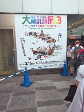 特別展「大哺乳類展３－わけてつなげて大行進」に投稿された画像（2024/5/27）